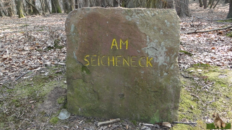 Ritterstein Nr. 204-2 Am Seicheneck.JPG - Ritterstein Nr.204 Am Seicheneck